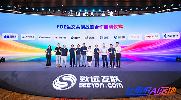 南宫NG28建设，FDE